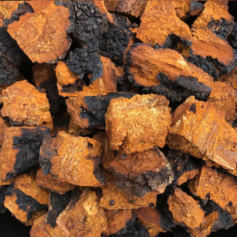 Chaga Mushroom Chunks