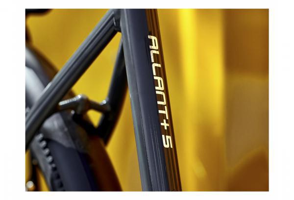 trek-allant-5-2022