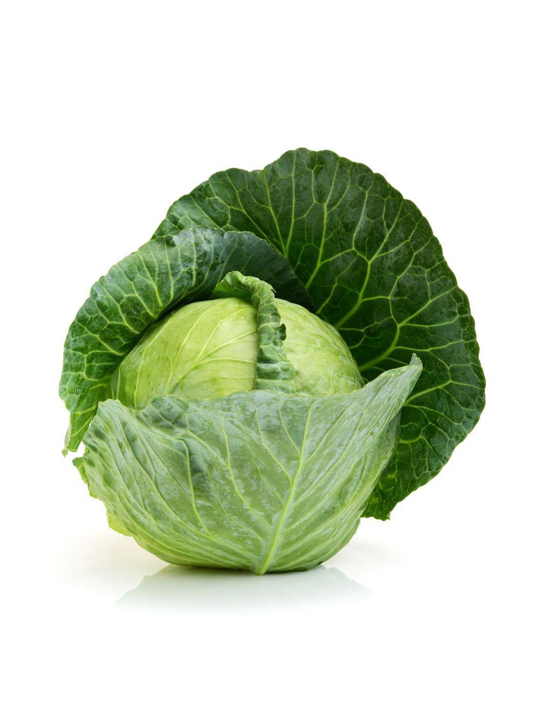 Chou vert