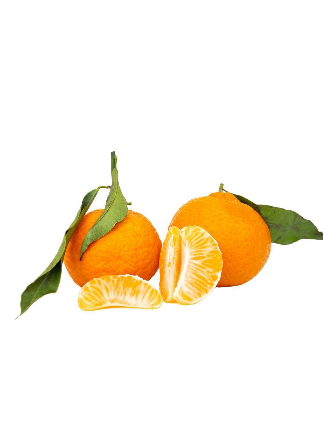 Clémentine Orri 3 KG