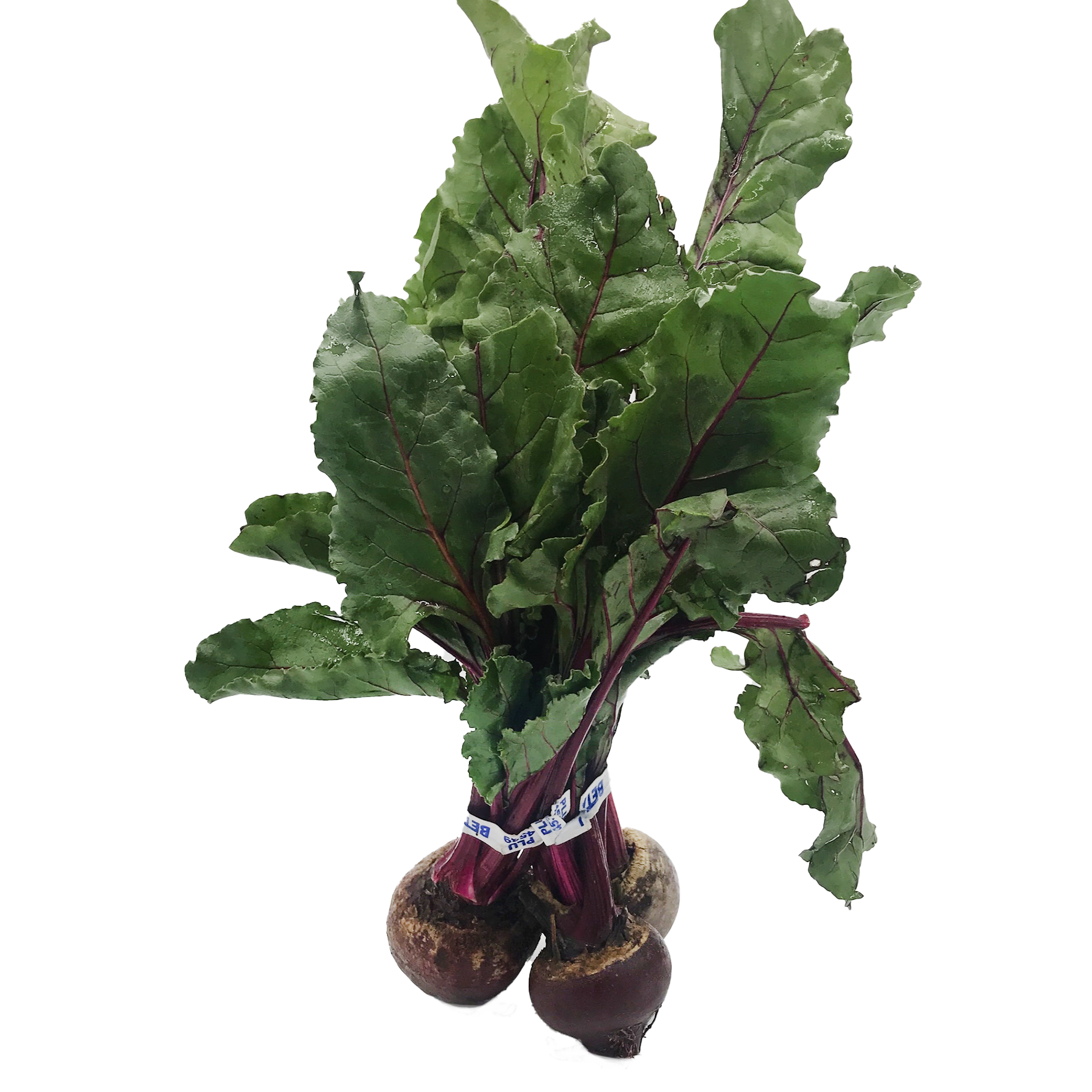 BEETS BUNCH